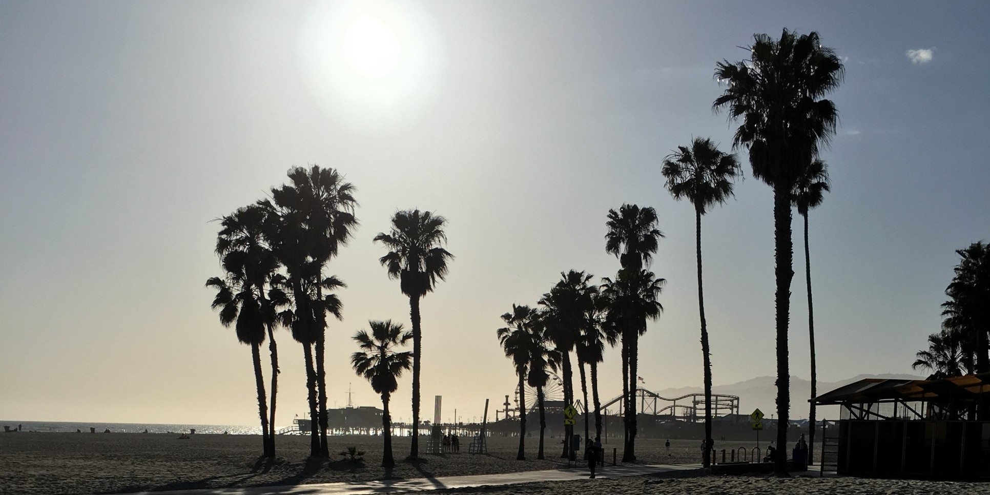 Palm trees and the Santa Monica Pier at the beach